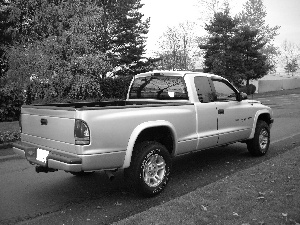 silver, Lamp, Back, Dodge Dakota