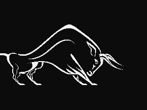 background, Bull, Black