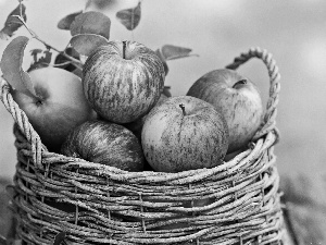 background, blur, apples, green ones, basket