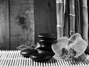 orchid, mat, bamboo, Stones