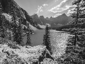 forest, Moraine Lake, Banff National Park, Mountains, Canada