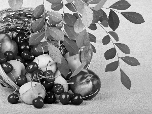 basket, composition, peaches, nectarines, cherries