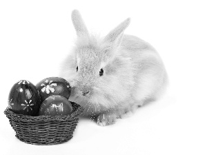 basket, eggs, Easter, eggs, Rabbit