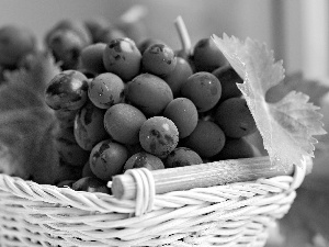 basket, dark, Grapes