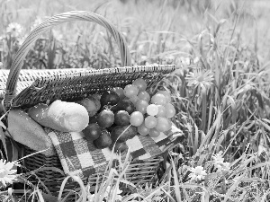 basket, grass, grapes