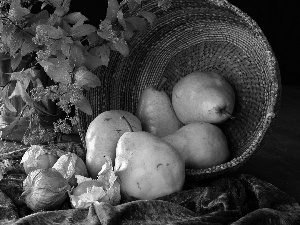 Leaf, truck concrete mixer, basket, Fruits