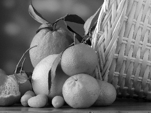 basket, orange, mandarin