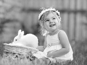 basket, Meadow, girl, Rabbit, small