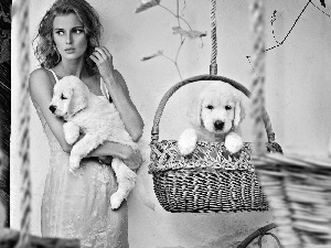 basket, Women, puppies