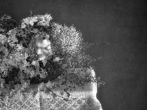 figure, ivy, tablecloth, basket, Plants, hedgehog, graphics