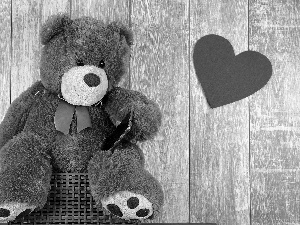 plush toy, toy, teddy bear, Heart teddybear, love, feeling, basket, board, Telephone