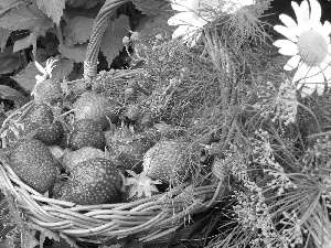 basket, strawberries, Wildflowers