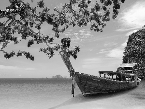 bath-tub, Caribbean, trees, viewes, sea