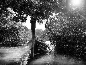 Thailand, water, bath-tub, jungle