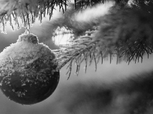 snow, christmas tree, bauble