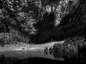 forest, Mountains, Bavaria, Germany, lake, waterfall