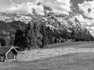 Bavaria, Germany, Karwendel Mountains, forest, Home, clouds, viewes, wooden, trees