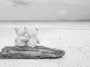 Sand, Beaches, bear, log, plush