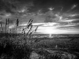 Beaches, grass, sun, sea, west