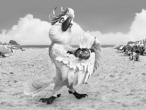 Rio, parrot, Beaches, White