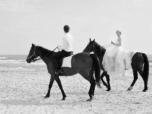 Beaches, sea, Steam, bloodstock, young