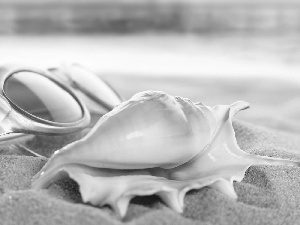 sunny, shell, Beaches, Glasses