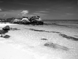 Thailand, sea, Beaches, reef