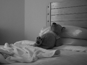 teddy bear, resting, White Bed, plush toy