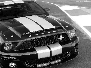 Ford Mustang, White, Belts, Shelby