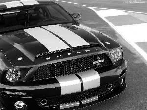 Ford Mustang, White, Belts, Shelby