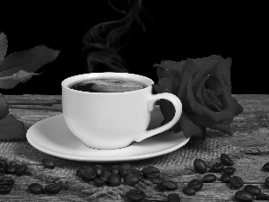 coffee, rose, Bench, composition, grains, cup