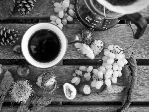 cones, Grapes, composition, Leaf, autumn, chestnuts, coffee, Bench