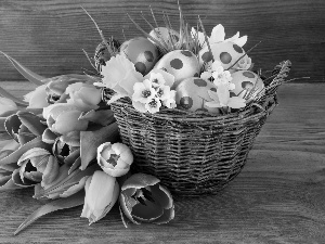 eggs, basket, Bench, Easter, Tulips, color