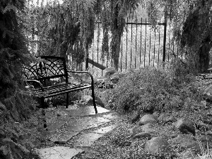 Bench, Fance, Spruces, Stones, garden