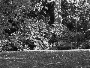 Bench, Garden, Lawn