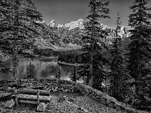 Mountains, Spruces, Bench, lake