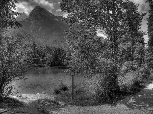 Mountains, woods, Bench, River