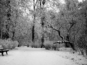 Bench, winter, trees, viewes, Park