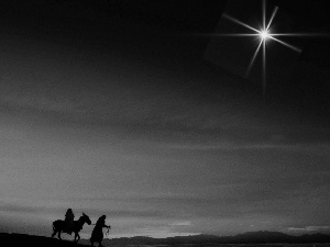 Donkey, starfish, Bethlehem, People