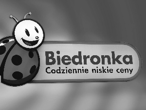 commercial, Discount Biedronka