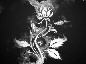 Colourfull Flowers, Big Fire