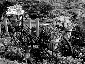 Garden, Bike