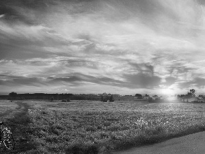 woods, field, east, Way, Meadow, Bike, sun