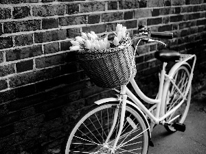 Bike, wall, Tulips, basket, Yellow