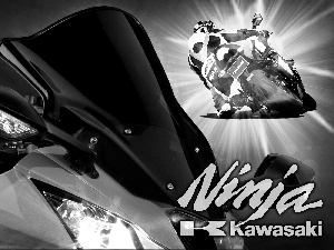 Becks - motorbike, Motorcyclist, motor-bike, Green, Kawasaki ZX-10R Ninja