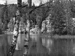 lake, Czech Republic, birch-tree, Ardspach