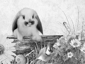 Flowers, snail, Bird, Rabbit