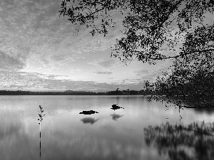 lake, sun, birds, west