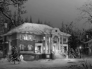 birth, christmas tree, winter, God, house