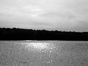 lake, viewes, black and White, trees